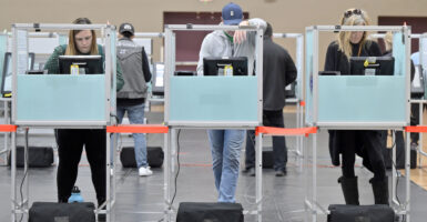 voters at election booths