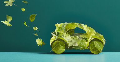 A car made of leaves with an exhaust trail of leaves