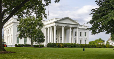 The White House with trees and bushes in the foreground