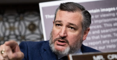 Ted Cruz, wearing a suit and a salt-and-pepper beard, points toward the audience at a congressional hearing