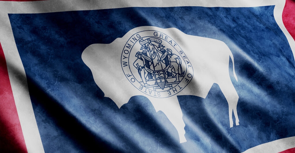 The state seal of Wyoming superimposed over the outline of a bison on a flag