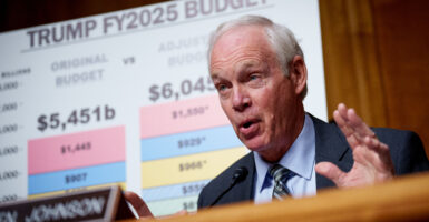 Sen. Ron Johnson, R-Wis., with a large chart detailing the fiscal 2025 federal budget behind him