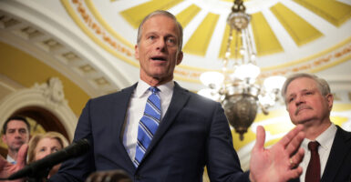 Senate Majority Leader John Thune, R-S.D., under the Capitol Dome