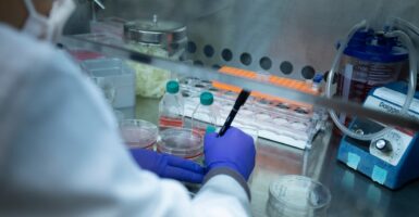 A lab technician writes down results from a test in a laboratory.