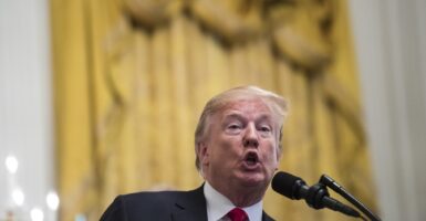 Donald Trump speks into a microphone while standing.