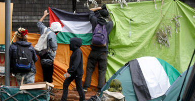 A group of pro-Palestinian protesters put up a Palestinian flag as they take over UC Berkeley's condemned Anna Head Alumnae Hall in Berkeley, Calif., on May 15, 2024.