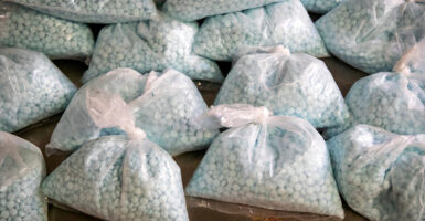 Bags of fentanyl pills seized by Customs and Border Protection