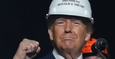 Donald Trump, wearing a white hard hat, raises his fist and smiles.