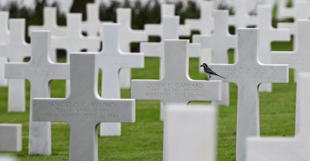 white crosses in the American Cemetery in Normandy France