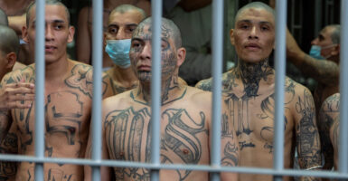 Prisoners with shaved heads and MS-13 gang tattoos look out of their prison cell