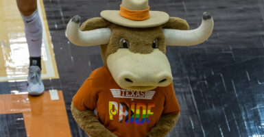 a person dressed up as the University of Texas at Austin ball mascot with a gay T-shirt that says Texas pride