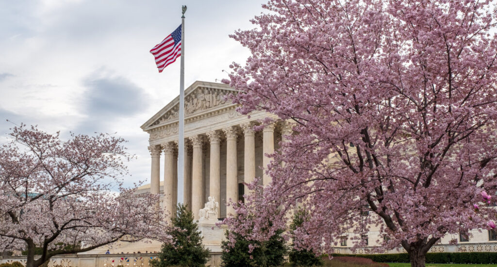 The U.S. Supreme Court Building framed by blossoming cherry blossom trees.
