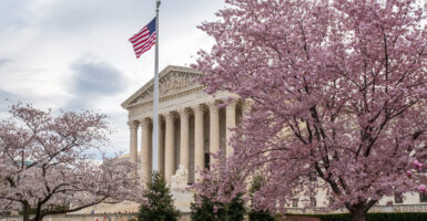 The U.S. Supreme Court Building framed by blossoming cherry blossom trees.