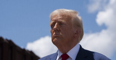 Donald Trump with border wall.