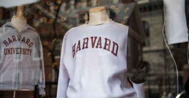 Harvard sweatshirts are displayed for sale in a school store window on the Harvard University campus.