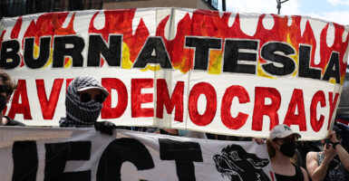 Protesters hold a sign reading, "Burn a Tesla, Save Democracy."