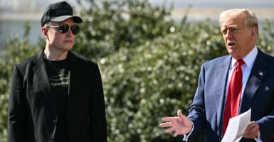 President Donald Trump and Tesla CEO Elon Musk stand at the South portico of the White House