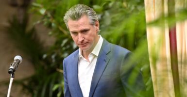 California Gov. Gavin Newsom, in a blue jacket and white open collar shirt, looks down and haggard, against a backdrop of green leaves.