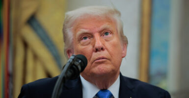 President Donald Trump