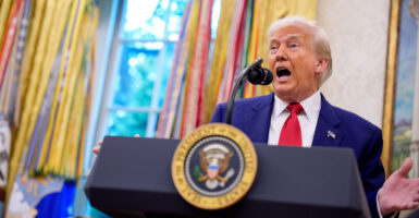 President Donald Trump