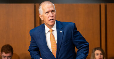 Sen. Thom Tillis, R-N.C.