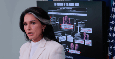 Tulsi Gabbard speaks in front of a screen with a graphic explaining "The Creation of the Russia Hoax."