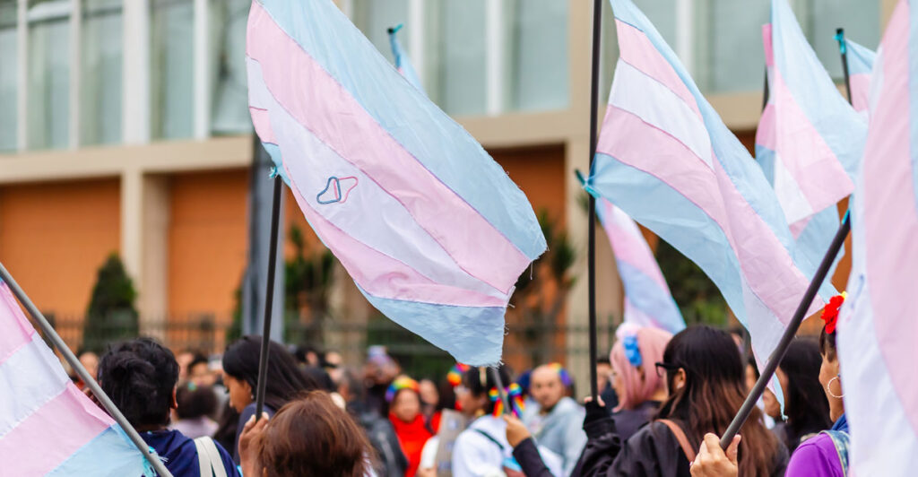 Transgender flags wave at a "Pride” event on June 29, 2024.