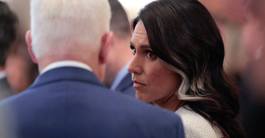 Director of National Intelligence Tulsi Gabbard profile view