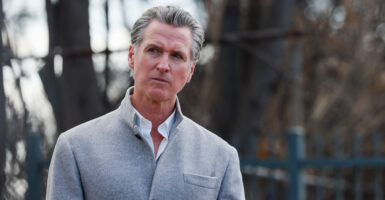 Gavin Newsom in a sharp, fashionable gray sweater looking stern.