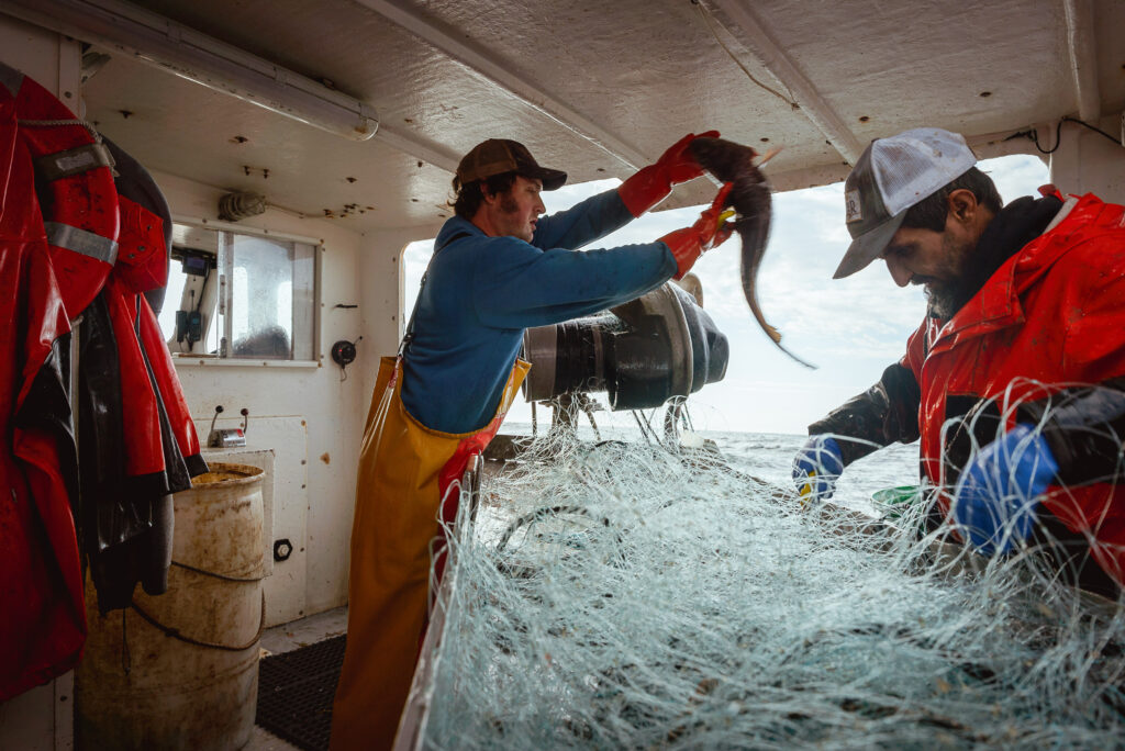 A Maine fisherman holds up a fish on a boat, while crewmate works through white net.