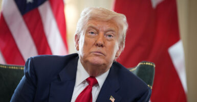 President Donald Trump