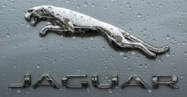 The photo features the logo for the luxury British car brand Jaguar up close, covered in rain drops. The logo has a leaping jaguar above the name "Jaguar."