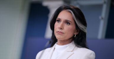 Tulsi Gabbard