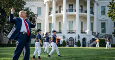 President Trump throws a baseball on the White House lawn, along with a group of Little Leaguers.