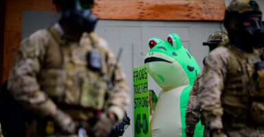 An anti-ICE protester inexplicably attired in a frog costume demonstrates at the U.S. Immigration and Customs Enforcement building on Sunday in Portland, Oregon. He or she is flanked by military personnel.
