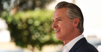 Profile of Gavin Newsom against a green outdoor background.
