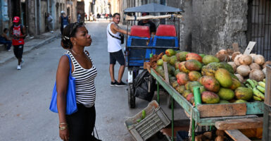 Cuban woman looks to by mangos at fruit stand, while man in background looks on.