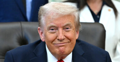President Trump smirks in the Oval Office at the white house.