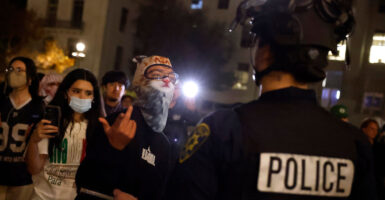 Leftist protesters including someone in furry mask confront police.