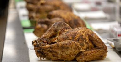 Turkeys ready for carving at Pasadena Convention Center