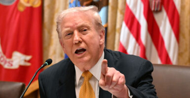 U.S. President Donald Trump speaks during a bilateral lunch with Prime Minister of Hungary Viktor Orban in the Cabinet Room of the White House on November 7, 2025 in Washington, DC.