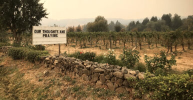 Smoky haze covers a winery in Sonoma, CA. A sign reads "Our Thoughts and Prayers."