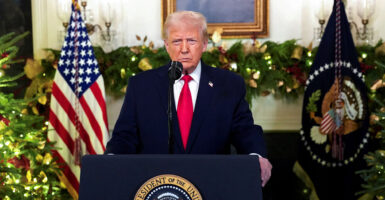 President Donald Trump, pictured delivering an address from the White House, with a fireplace and garland behind him, has been responsible for many of the winners and losers of 2025.