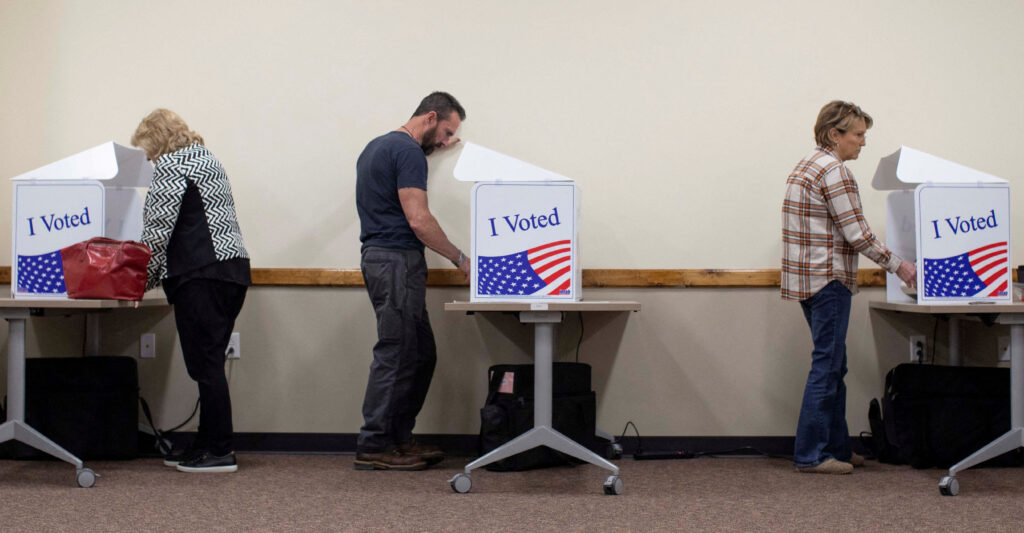 The Center for Immigration Studies is calling for the federal government to make the SAVE voter verification system more accessible.