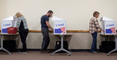 The Center for Immigration Studies is calling for the federal government to make the SAVE voter verification system more accessible.