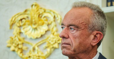 Profile of Robert F. Kennedy Jr.