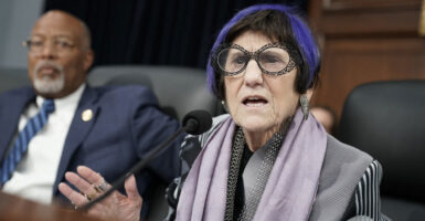 Rosa DeLauro sits in a House of Representatives committee.