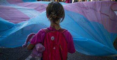 Little child with red backpack and teddy bear stands looking at a trans flag.