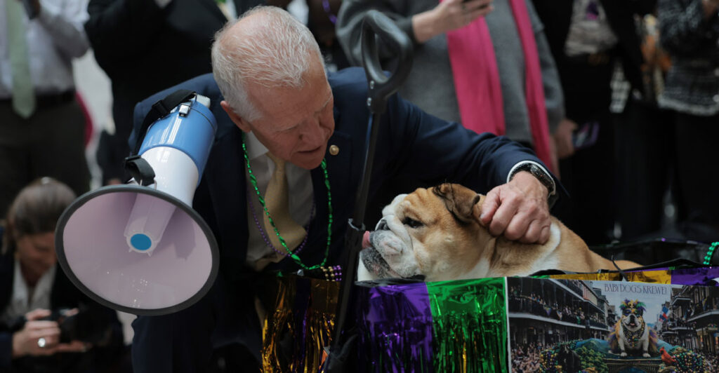 Thom Tillis pets babydog at a senate dog parade.