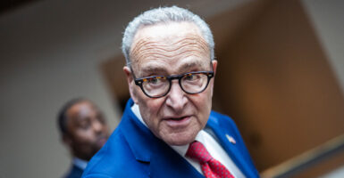 Chuck Schumer speaks to a reporter in the Capitol.
